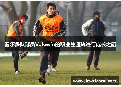 波尔多队球员Vukasin的职业生涯轨迹与成长之路