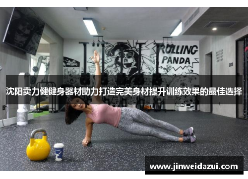沈阳卖力健健身器材助力打造完美身材提升训练效果的最佳选择