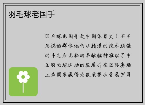 羽毛球老国手